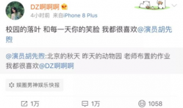 今日吃瓜爆料王子文微博,娱乐圈最新动态揭秘